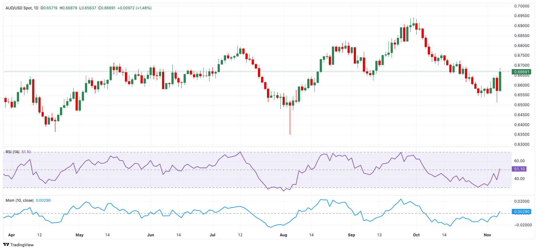 广东姑娘新疆踢球 足球画出民族团结“同心圆”