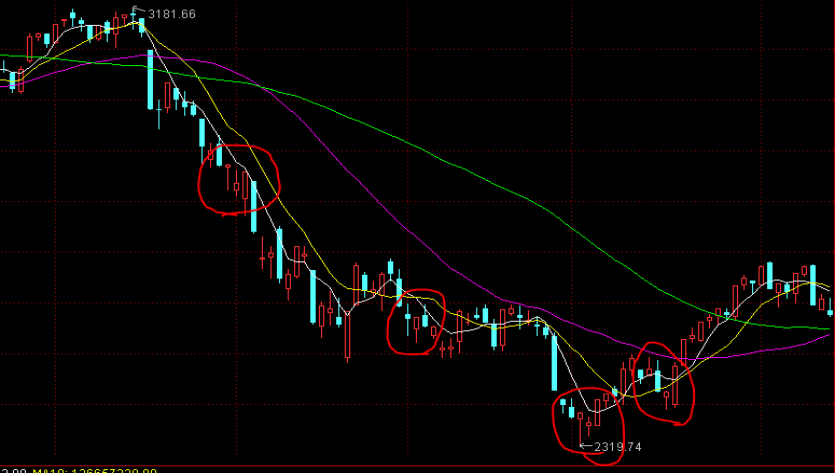 百余款名优产品集中亮相!新疆疏附组团参与第33届广州博览会